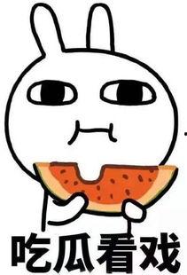 对视吃瓜吐槽,揭秘网络热议背后的真相与笑料