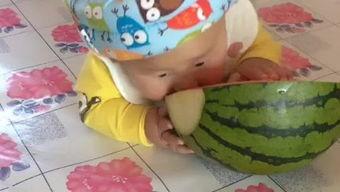 小孩搞笑吃瓜,小家伙搞笑吃瓜瞬间