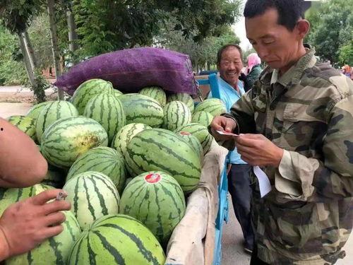 湾湾视频吃瓜,揭秘娱乐圈背后的秘密与八卦