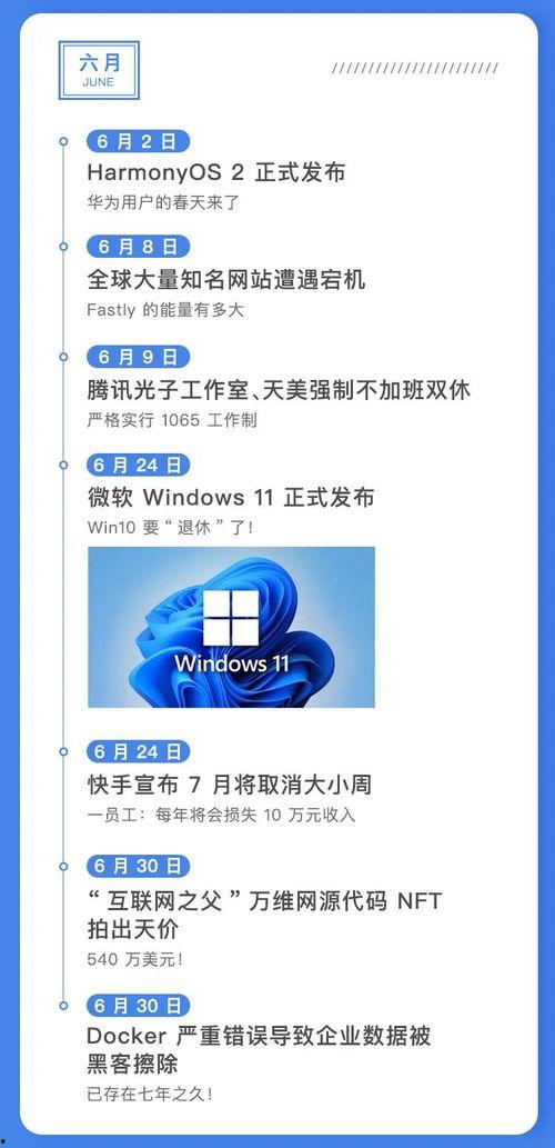 吃瓜全流程,揭秘吃瓜全流程的趣味之旅
