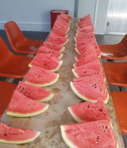 吃瓜界大咖,娱乐圈幕后真相大曝光