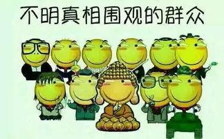 吃瓜群众怎么选好瓜,如何挑选出最甜美的瓜