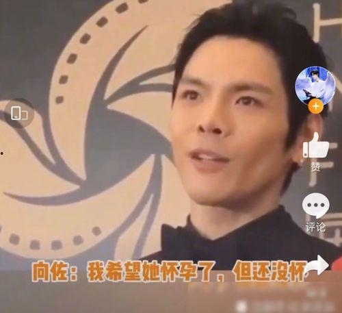 网友坐等吃瓜,坐等吃瓜，揭秘娱乐圈幕后真相