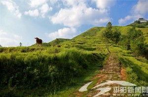 平阳腾蛟吃瓜,探寻瓜果飘香的田园风情