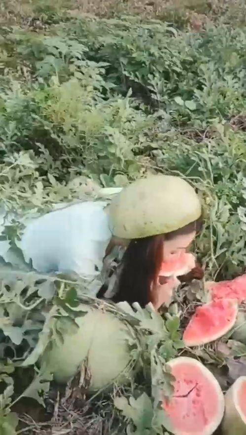 宿舍小姐姐吃瓜,小姐姐们的欢乐吃瓜时光