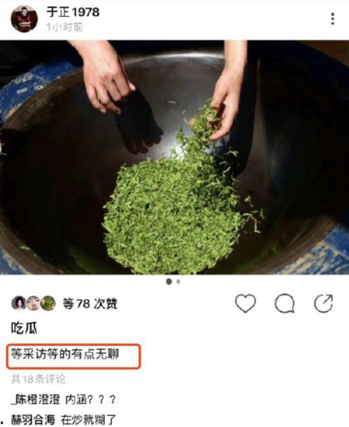 每日吃瓜绿茶,揭秘娱乐圈幕后故事