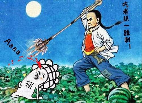 还挺押韵 吃瓜,揭秘娱乐圈风云变幻