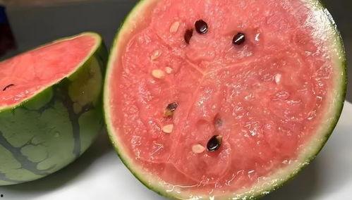 夏季吃瓜拍照,镜头下的清凉瞬间