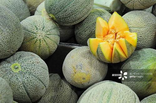 夏季吃瓜拍照,镜头下的清凉瞬间