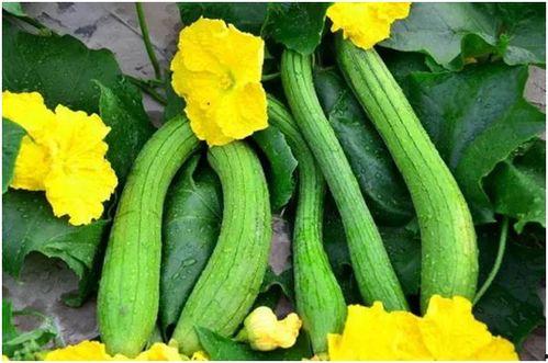 麦承欢酒店吃瓜,揭秘幕后真相与网络热议