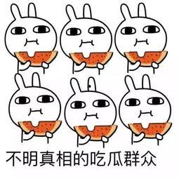 头像吃瓜主