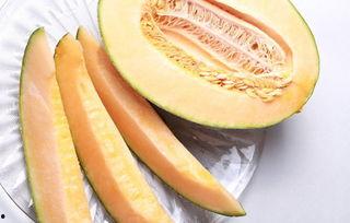 吃哈密瓜吃的咳嗽,哈密瓜诱惑下的咳嗽之谜