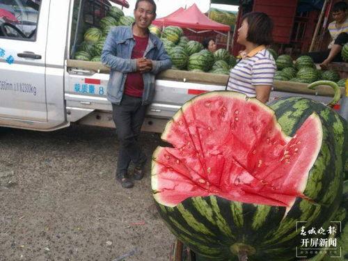 郓城吃瓜群众,吃瓜群众的欢乐盛宴