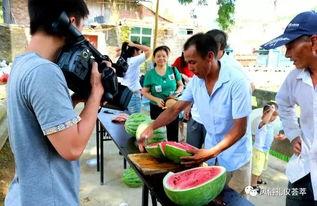 郓城吃瓜群众,吃瓜群众的欢乐盛宴