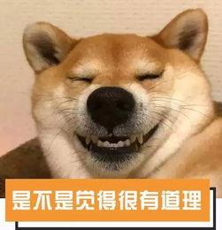 打滴滴吃瓜,见证瓜农与乘客的甜蜜邂逅