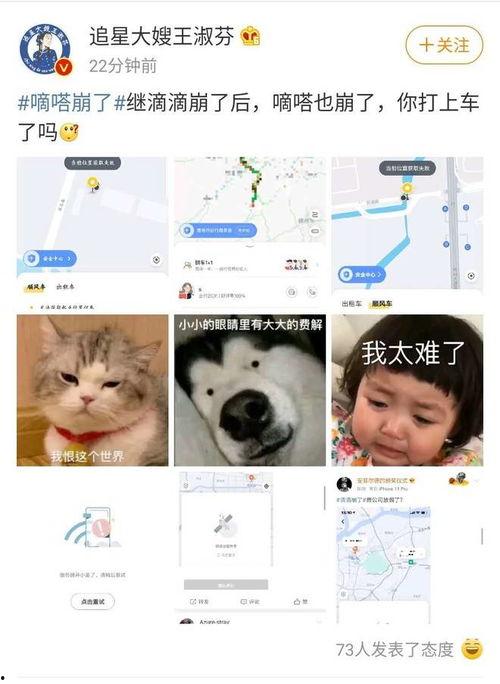 打滴滴吃瓜,见证瓜农与乘客的甜蜜邂逅