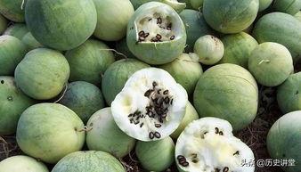 吃瓜群众大包瓜子,揭秘娱乐圈幕后故事