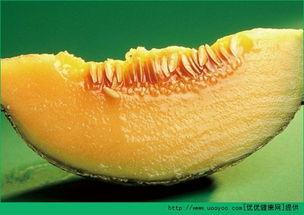 哈密瓜一天吃半个,健康生活新选择