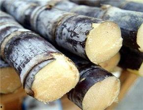 甘蔗哈密瓜可以一起吃吗,甘蔗与哈密瓜同食的适宜性探讨