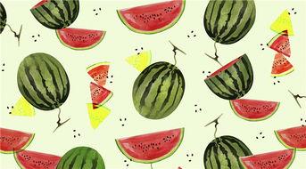 瓜瓜吃瓜教案中班,趣味探索与生活认知的融合