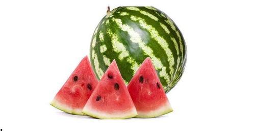 24瓜吃西瓜,一场别开生面的西瓜盛宴