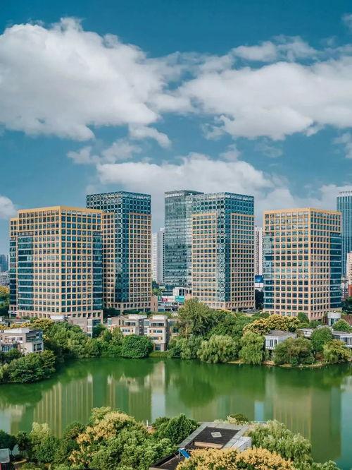 吃瓜光谷软件园