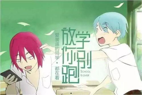 瓜瓜吃瓜故事解读,揭秘网络八卦背后的真相与趣味