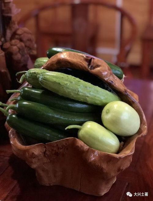 网红吃瓜扬中,揭秘网络红人背后的故事