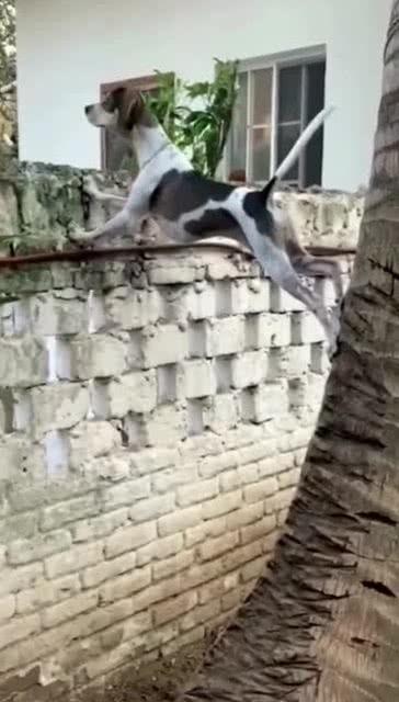 活捉一只吃瓜群众图片,一场视觉盛宴背后的故事