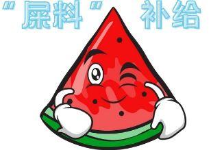 吵架现场吃瓜青蛙,吃瓜青蛙的视角揭秘