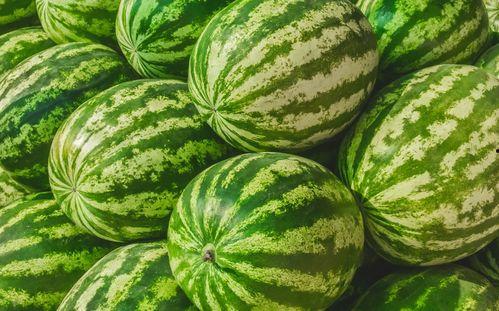 吃瓜视频怎么找