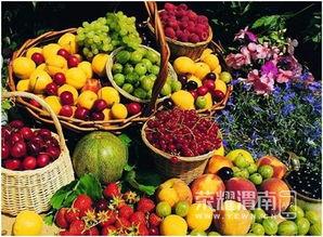 瀚唐府吃瓜,揭秘网红美食背后的吃瓜故事