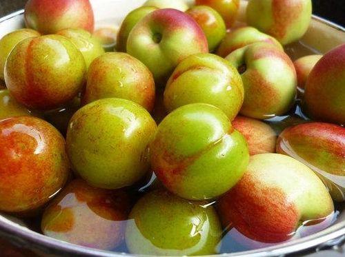 吃李子瓜的季节