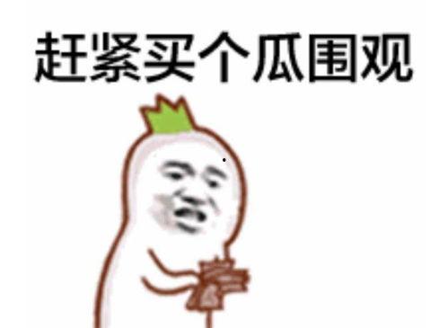 微信吃瓜群众表情大图