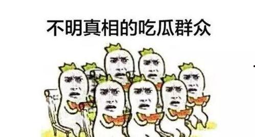 吃瓜群众领盒饭,揭秘娱乐圈幕后故事