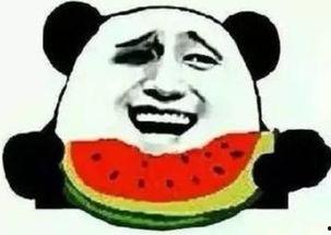 吃瓜群众以苦为乐,吃瓜群众的独特心态揭秘