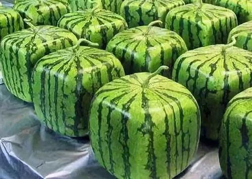 在线吃瓜的寓意,吃瓜群众如何演绎现代版“看客”现象