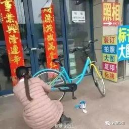 吃瓜群众小黄车,吃瓜群众的出行新宠