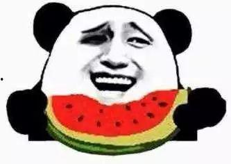 吃瓜群众小黄车,吃瓜群众的出行新宠