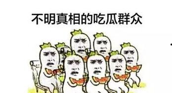 吃瓜群众发工资,揭秘工资背后的生活真相