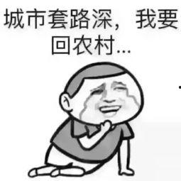 吃瓜群众发工资,揭秘工资背后的生活真相