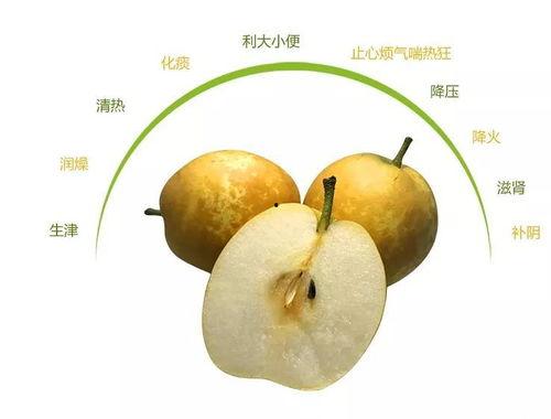 鸭梨在吃瓜,揭秘瓜界新宠儿的魅力与趣事