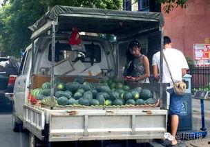 邵阳地下室吃瓜,揭秘背后故事