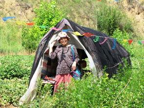 吃榆林的瓜,尽享瓜果飘香