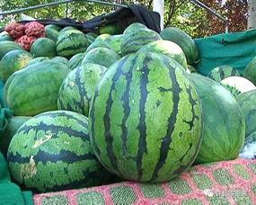 怎样看待网络吃瓜,娱乐与现实的交织