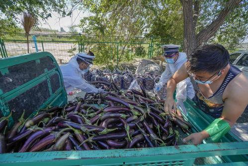 乌市疫情吃瓜,吃瓜群众视角下的防疫风云
