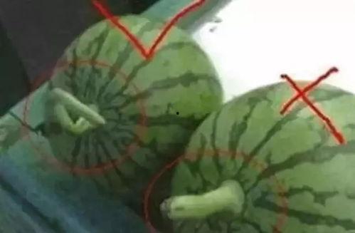 论娱吃瓜,揭秘娱乐圈背后的那些事儿