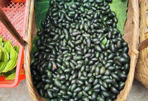 云南芒果吃瓜,甜蜜瓜果的云南风情