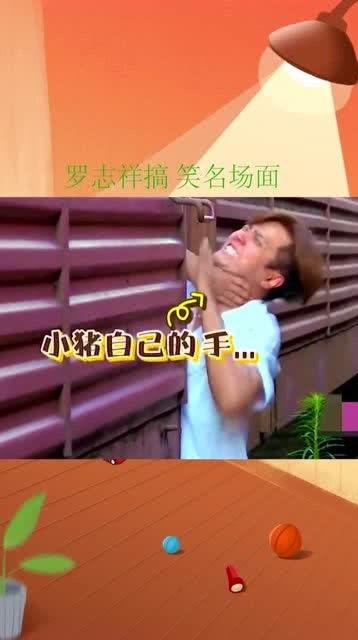 懵圈吃瓜文,揭秘娱乐圈那些让人摸不着头脑的幕后故事