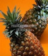 哈密菠萝瓜怎样吃,哈密菠萝瓜的多彩食法探索